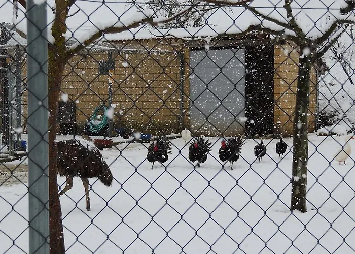 Restaurante La Alhama 3* Medina de Pomar