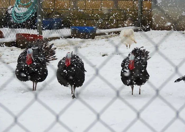 Restaurante La Alhama