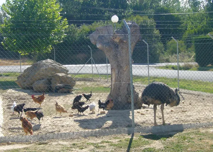 호텔 Restaurante La Alhama 3*